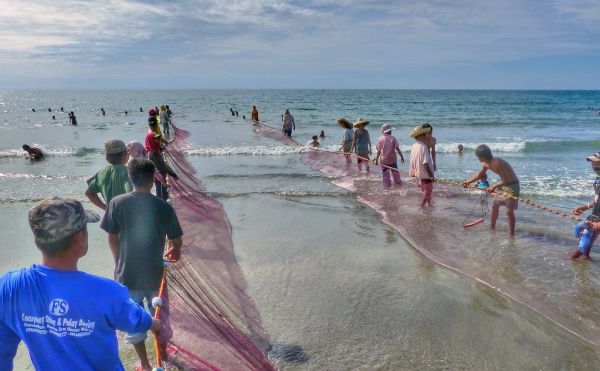 Vissers halen een net binnen op het strand